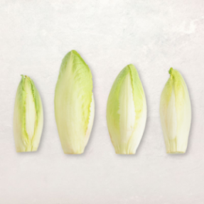 Endives x4 500g-600g