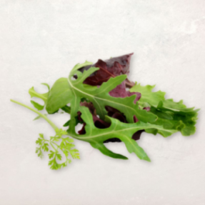 Salade mesclun 125g