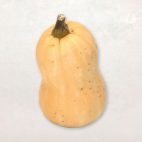 Butternut 900g-1.3kg