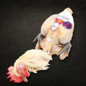 Poulet de Bresse AOP PAC...